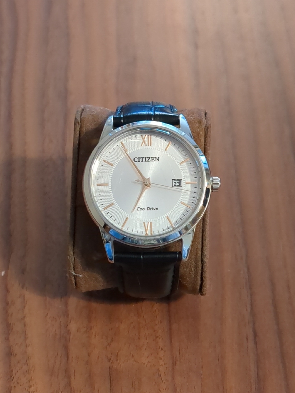 Citizen Silver Dial Watch with Black Strap